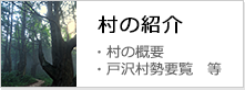 村の紹介